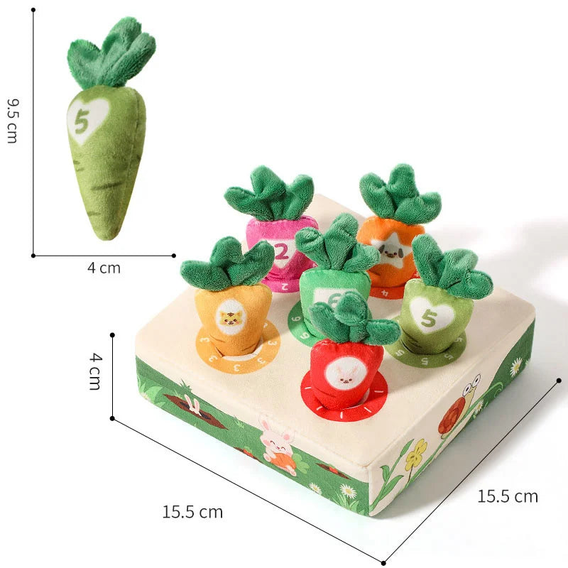 Jouet Montessori pour bébé, entraînement de la motricité Fine